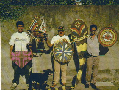 Brazilian Kites